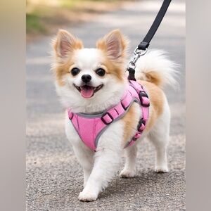 Belpro Escape Proof Dog Harness